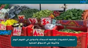 أسعار الخضروات الفاكهة الأسماك والدواجن في الفيوم اليوم وتأثيرها على الأسواق المحلية